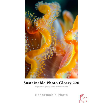 Hahnemuhle Sustainable Photo Glossy gr220    A2x25