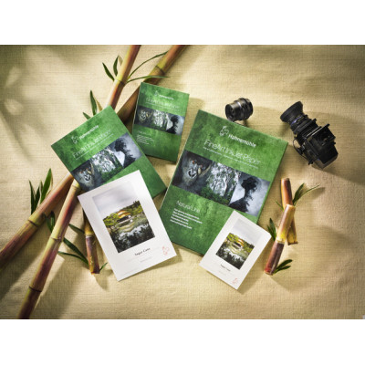 Hahnemuhle Natural Line Sugar Cane gr290 10x15cmx30