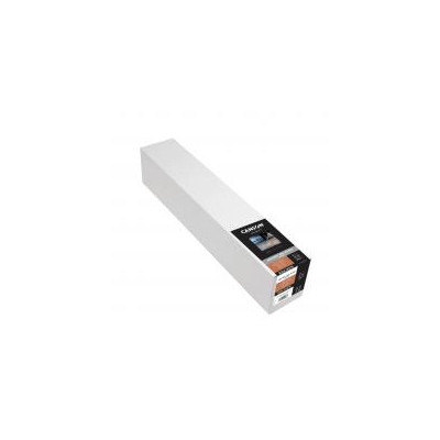 Canson Infinity Arches BFK Rives White gr310  0.61x12m